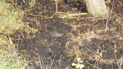 Kuppingen: Kleinere Wiese brennt nieder -schnelles Eingreifen der Feuerwehr verhindert schlimmeres.